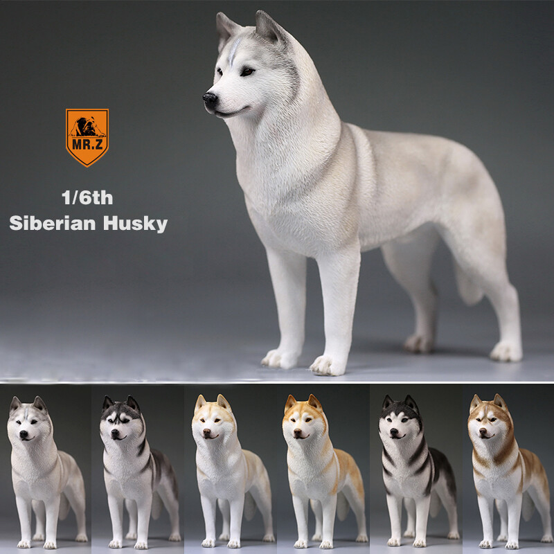 action man husky dog